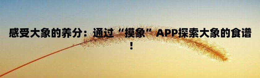 感受大象的养分：通过“摸象”app探索大象的食谱！