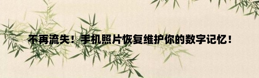 不再流失！手机照片恢复维护你的数字记忆！