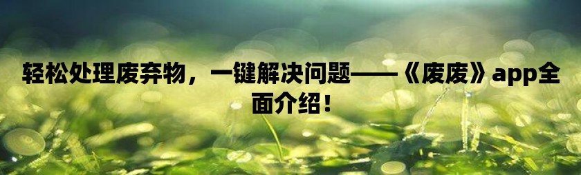 轻松处理废弃物，一键解决问题——《废废》app全面介绍！