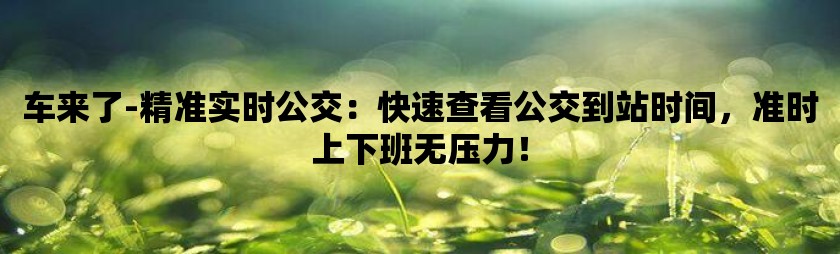 车来了-精准实时公交：快速查看公交到站时间，准时上下班无压力！