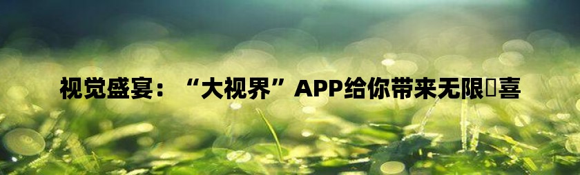 视觉盛宴：“大视界”app给你带来无限驚喜