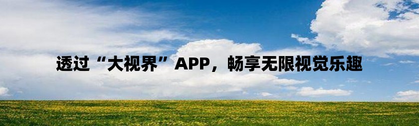 透过“大视界”app，畅享无限视觉乐趣