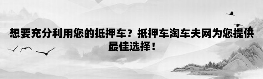 想要充分利用您的抵押车？抵押车淘车夫网为您提供最佳选择！