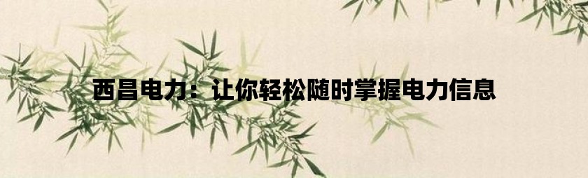 西昌电力：让你轻松随时掌握电力信息