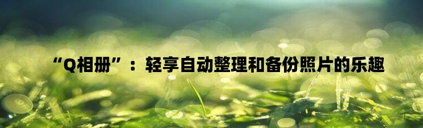 “q相册”：轻享自动整理和备份照片的乐趣