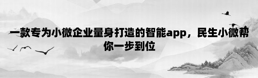 一款专为小微企业量身打造的智能app，民生小微帮你一步到位