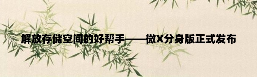 解放存储空间的好帮手——微x分身版正式发布