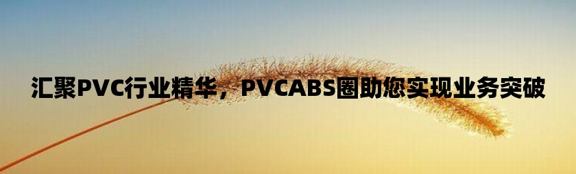 汇聚pvc行业精华，pvcabs圈助您实现业务突破