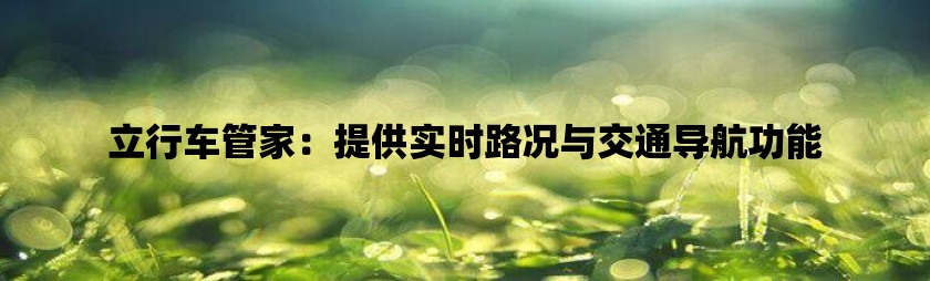 立行车管家：提供实时路况与交通导航功能