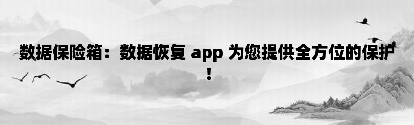 数据保险箱：数据恢复 app 为您提供全方位的保护！