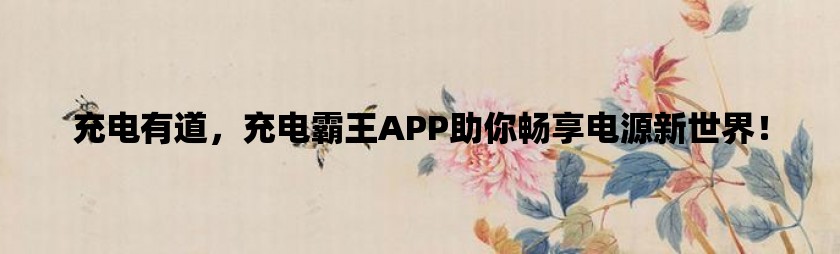 充电有道，充电霸王app助你畅享电源新世界！